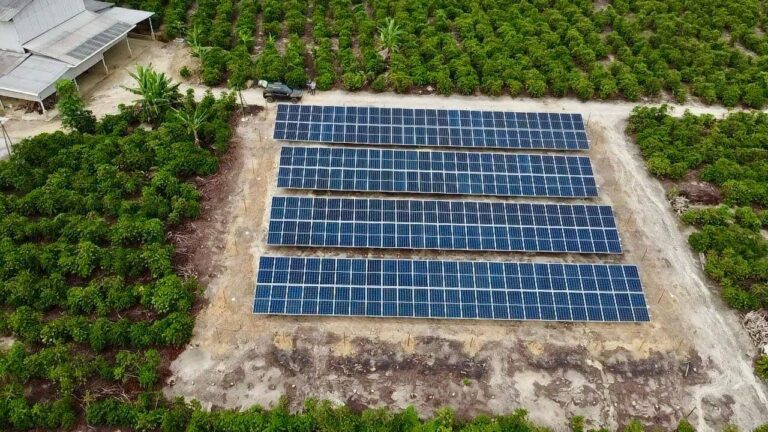 WhatsApp Image 2024-09-02 at 14.23.08 (1)