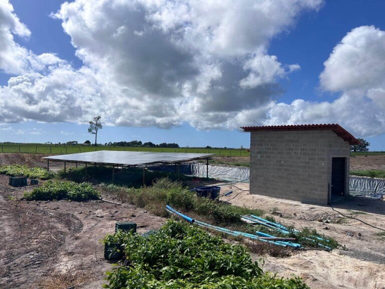 WhatsApp Image 2024-09-02 at 14.23.10 (3)